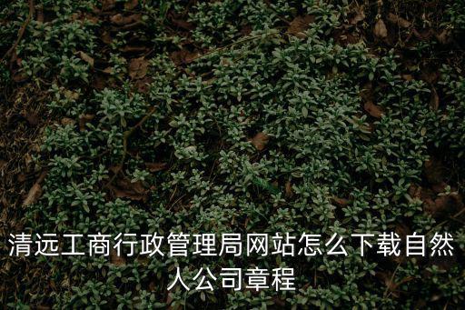 清遠工商行政管理局網站怎么下載自然人公司章程