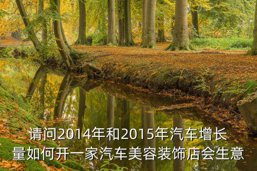 請問2014年和2015年汽車增長量如何開一家汽車美容裝飾店會生意