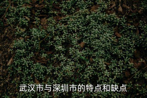 武漢市與深圳市的特點和缺點