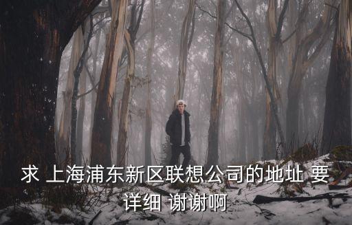 求 上海浦東新區聯想公司的地址 要詳細 謝謝啊