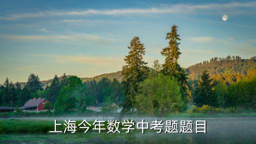 上海今年數學中考題題目