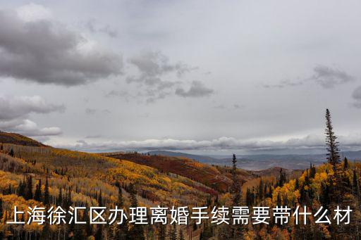 上海市徐匯區民政局離婚，我和我愛人是在徐匯區民政局結婚的可不可以在閔行區辦理離婚手續