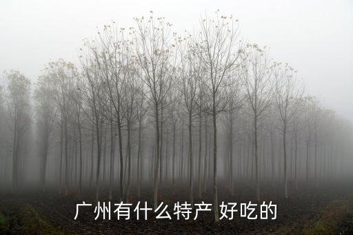 東莞科目三干貨，廣州的特產是什么