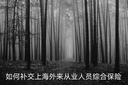 如何補交上海外來從業人員綜合保險