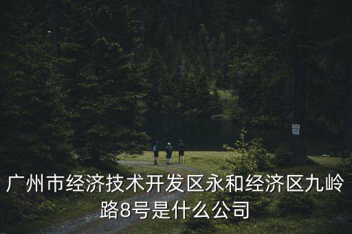 廣州市經(jīng)濟技術(shù)開發(fā)區(qū)永和經(jīng)濟區(qū)九嶺路8號是什么公司