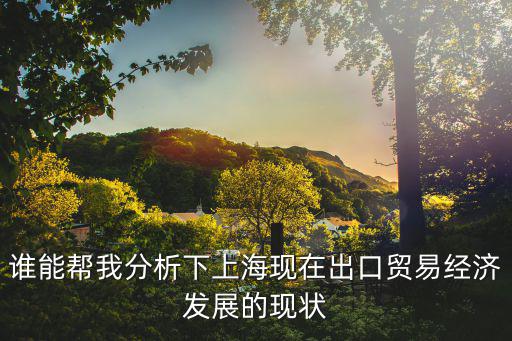 誰能幫我分析下上?，F在出口貿易經濟發展的現狀