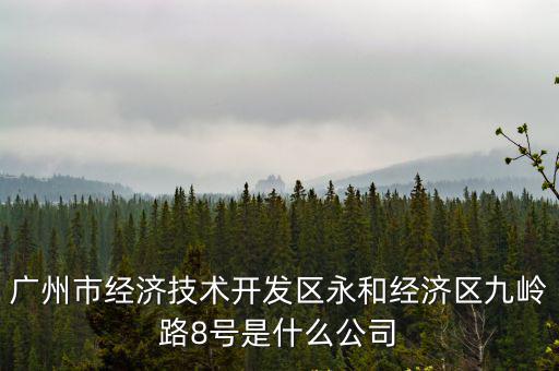廣州市經濟技術開發區永和經濟區九嶺路8號是什么公司