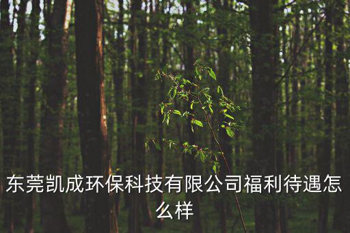 東莞凱成廠，東莞凱成環保科技有限公司福利待遇怎么樣