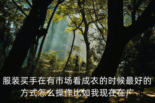 廣州 服裝買手，怎樣在廣州十三行做一名服裝買手 想了解一下 或者是在十三行給別人