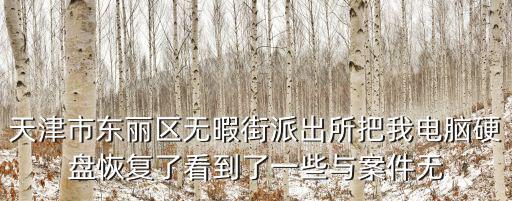 天津市東麗區無暇街派出所把我電腦硬盤恢復了看到了一些與案件無