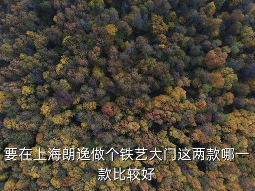 上海市專做鋼質(zhì)大門產(chǎn)家，我要做個豪華別墅鐵藝大門上海哪家公司好一點(diǎn)