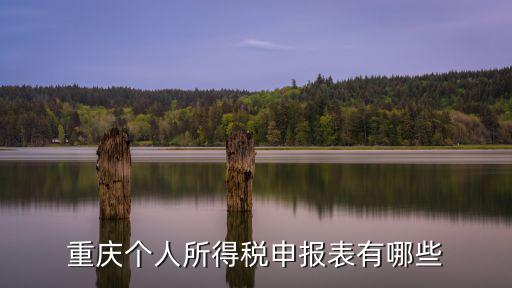重慶個人所得稅申報表有哪些