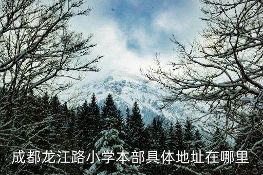 成都龍江路小學(xué)本部具體地址在哪里
