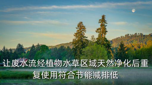 讓廢水流經(jīng)植物水草區(qū)域天然凈化后重復(fù)使用符合節(jié)能減排低