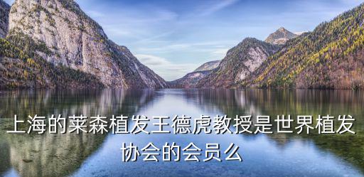 上海的萊森植發(fā)王德虎教授是世界植發(fā)協會的會員么