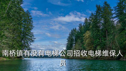 南橋鎮有沒有電梯公司招收電梯維保人員