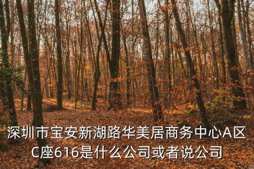 深圳市寶安新湖路華美居商務中心A區C座616是什么公司或者說公司