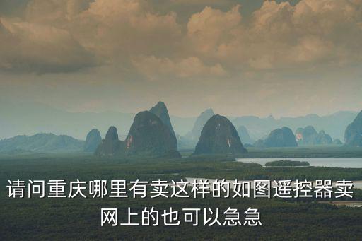 請問重慶哪里有賣這樣的如圖遙控器賣網(wǎng)上的也可以急急