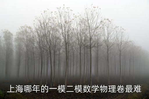 上海哪年的一模二模數學物理卷最難