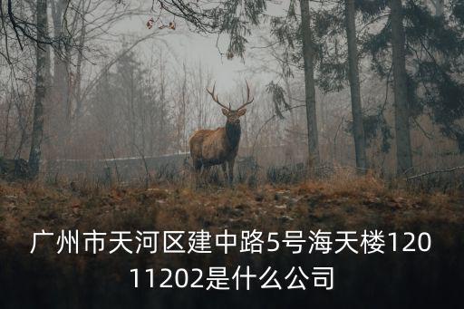 廣州市天河區建中路5號海天樓12011202是什么公司