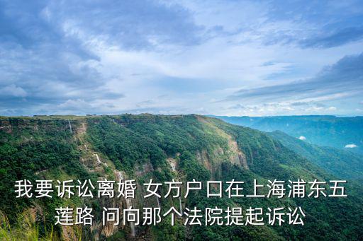 上海市浦東新區(qū)金橋法庭，我要訴訟離婚 女方戶口在上海浦東五蓮路 問向那個(gè)法院提起訴訟