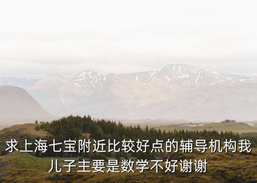 求上海七寶附近比較好點的輔導機構我兒子主要是數學不好謝謝