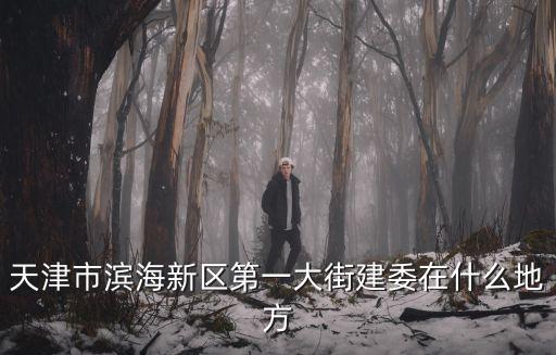 天津市濱海新區(qū)第一大街建委在什么地方