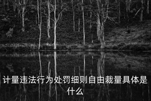 計量違法行為處罰細則自由裁量具體是什么