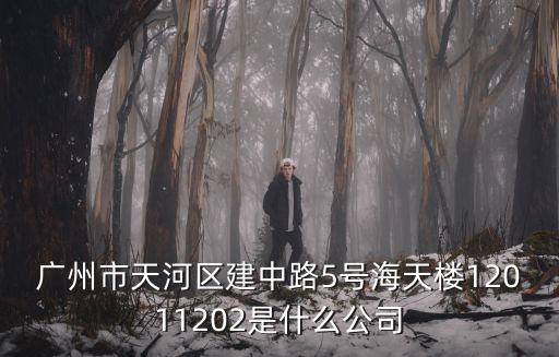 廣州市天河區建中路5號海天樓12011202是什么公司