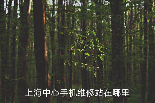 上海中心手機維修站在哪里