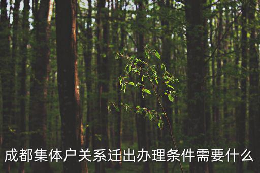 成都集體戶關系遷出辦理條件需要什么