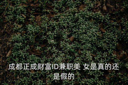 成都正成財(cái)富ID兼職美 女是真的還是假的