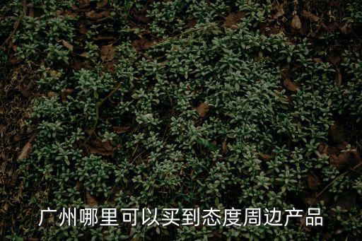 廣州哪里可以買到態(tài)度周邊產(chǎn)品