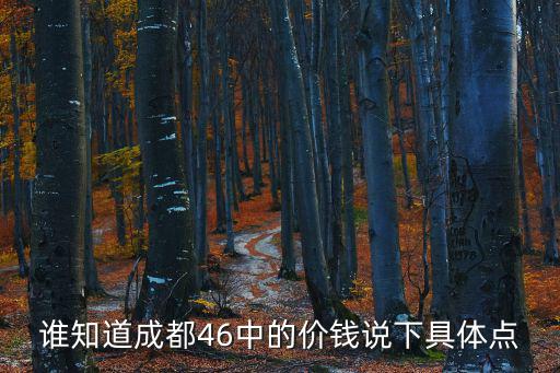 誰知道成都46中的價錢說下具體點
