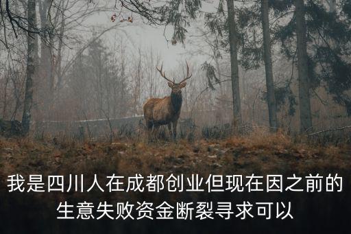 我是四川人在成都創業但現在因之前的生意失敗資金斷裂尋求可以