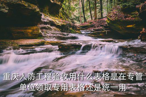 重慶市政府驗收表，重慶土方開挖工程檢驗批質量驗收記錄表如何填寫