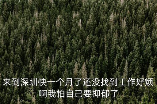 來到深圳快一個月了還沒找到工作好煩啊我怕自己要抑郁了