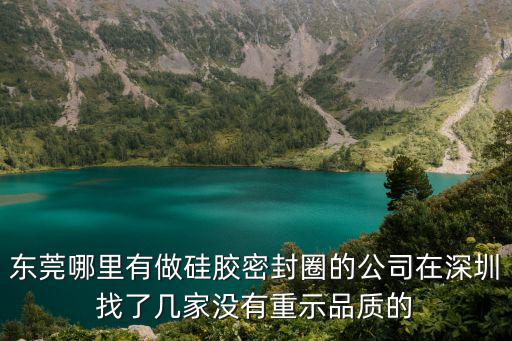東莞哪里有做硅膠密封圈的公司在深圳找了幾家沒有重示品質的