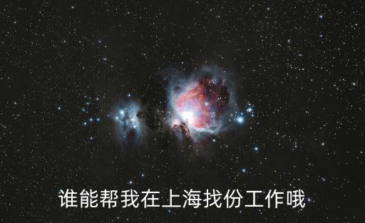 誰(shuí)能幫我在上海找份工作哦