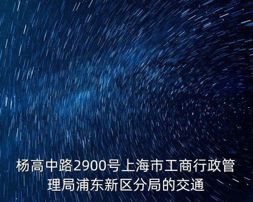 楊高中路2900號上海市工商行政管理局浦東新區分局的交通
