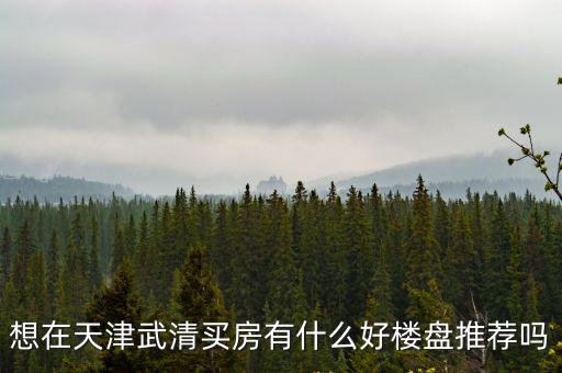 天津市武清樓房，想在天津武清買房有什么好樓盤推薦嗎