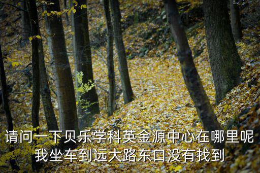 請問一下貝樂學(xué)科英金源中心在哪里呢我坐車到遠(yuǎn)大路東口沒有找到