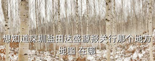想知道深圳鹽田達盛源報關行那個地方地圖 在哪