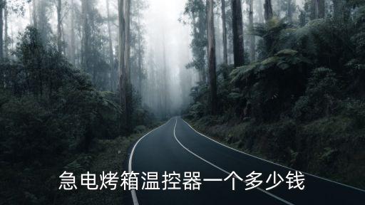 急電烤箱溫控器一個(gè)多少錢(qián)
