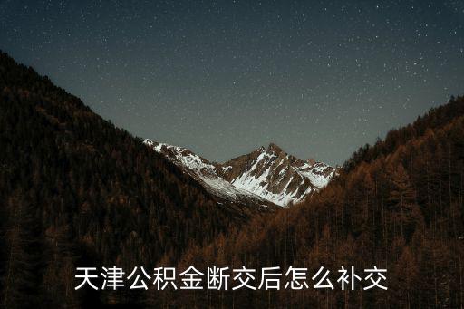天津市公積金補(bǔ)交，天津住房公積金可以進(jìn)行個(gè)人補(bǔ)繳嗎