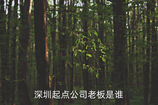 深圳起點公司老板是誰