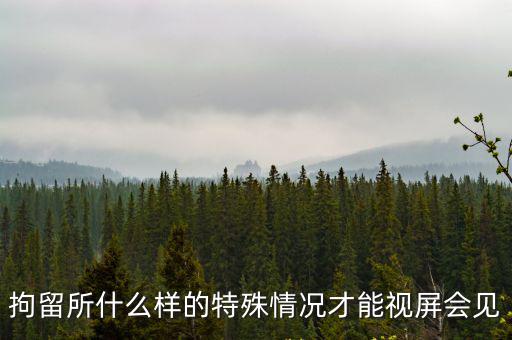拘留所什么樣的特殊情況才能視屏會見