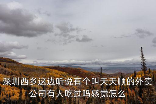 深圳新屋村外賣，深圳外賣宅食代的服務怎么樣