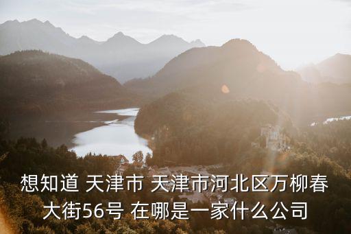 想知道 天津市 天津市河北區(qū)萬柳春大街56號 在哪是一家什么公司