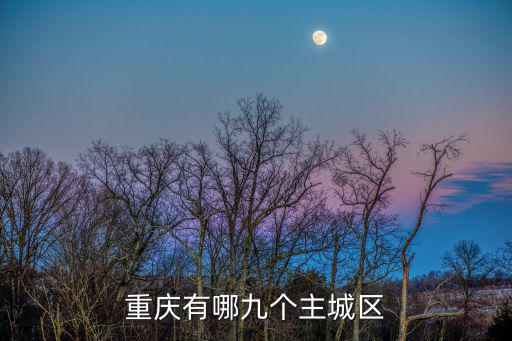 重慶有哪九個主城區